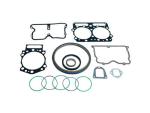 Seals and Gaskets (Oil Seal and Gasket Set)